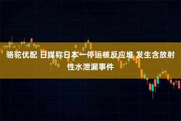 骆驼优配 日媒称日本一停运核反应堆 发生含放射性水泄漏事件