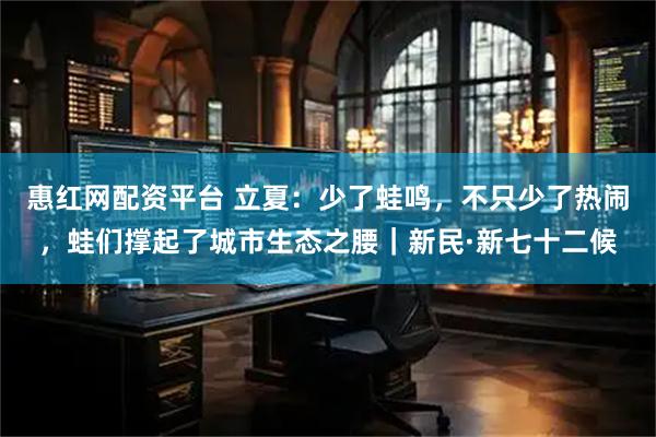 惠红网配资平台 立夏：少了蛙鸣，不只少了热闹，蛙们撑起了城市生态之腰｜新民·新七十二候