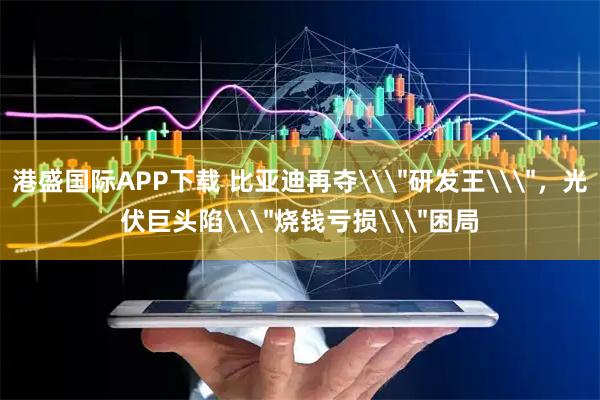 港盛国际APP下载 比亚迪再夺\